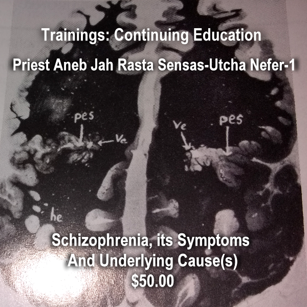 schizophrenia symptoms and underlying conditions - training